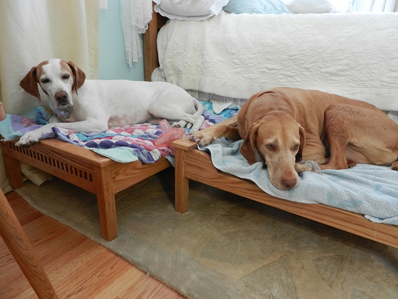 Custom Dog Beds by CC Fine Furniture at CustomMade.com