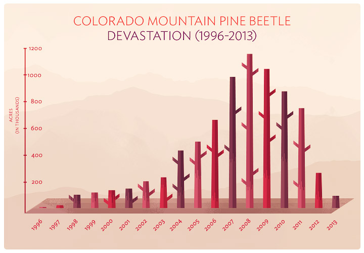 Pine on The Decline - The Devastation by Acres in Colorado