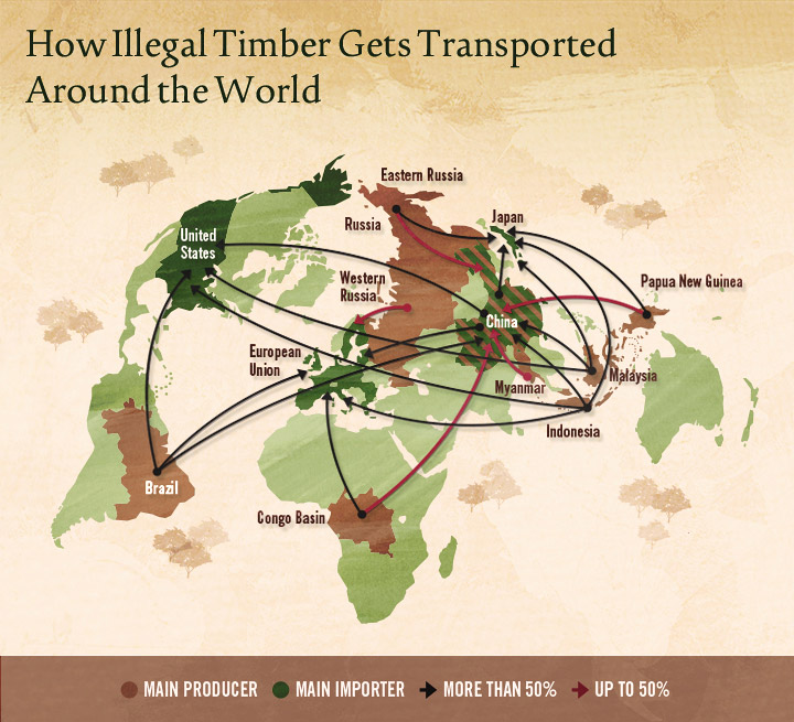 Illegal Logging - How Illegal Timber Gets Transported Around The World