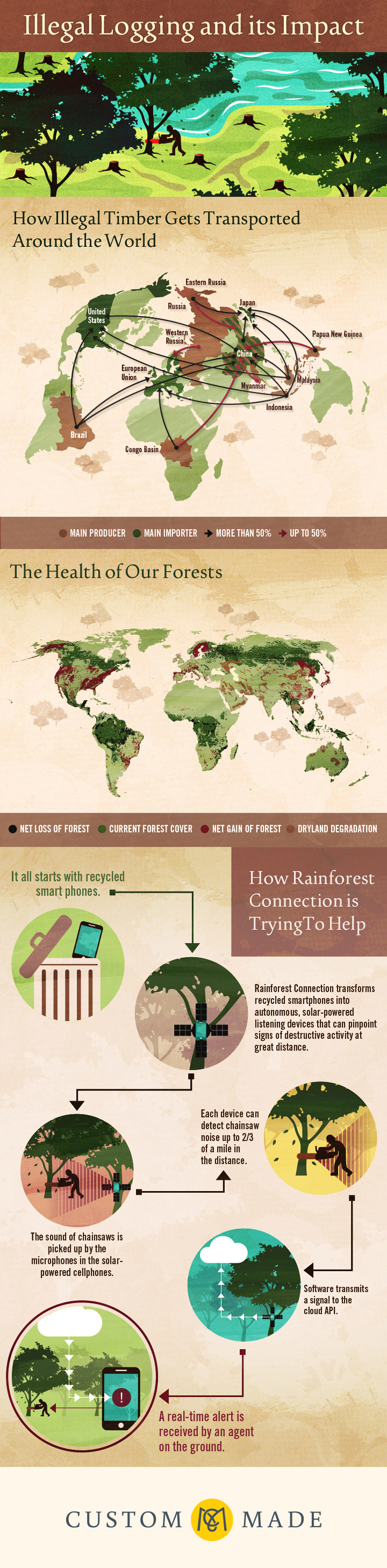 Wild Crime: Illegal Logging Industry Infographic
