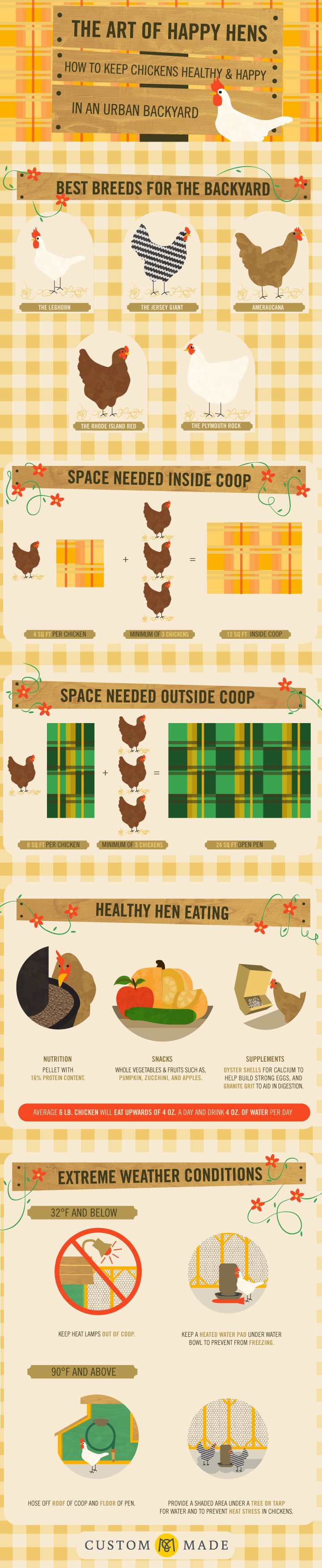 The Art of Happy Hens — How to Keep Chickens Healthy and Happy in An Urban Backyard