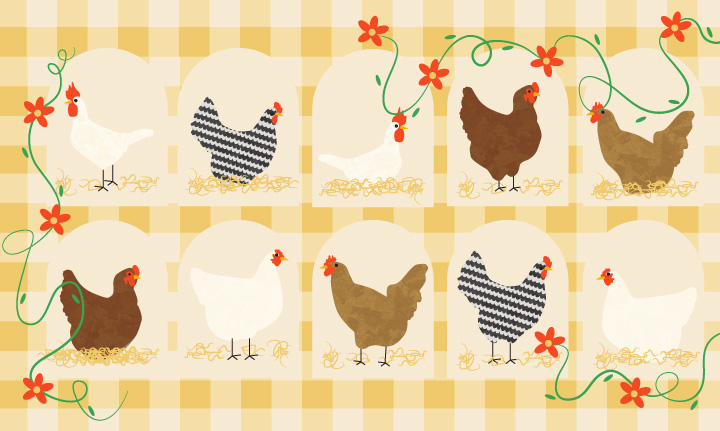 The Art of Happy Hens:  How to Keep Chickens Healthy and Happy in An Urban Backyard
