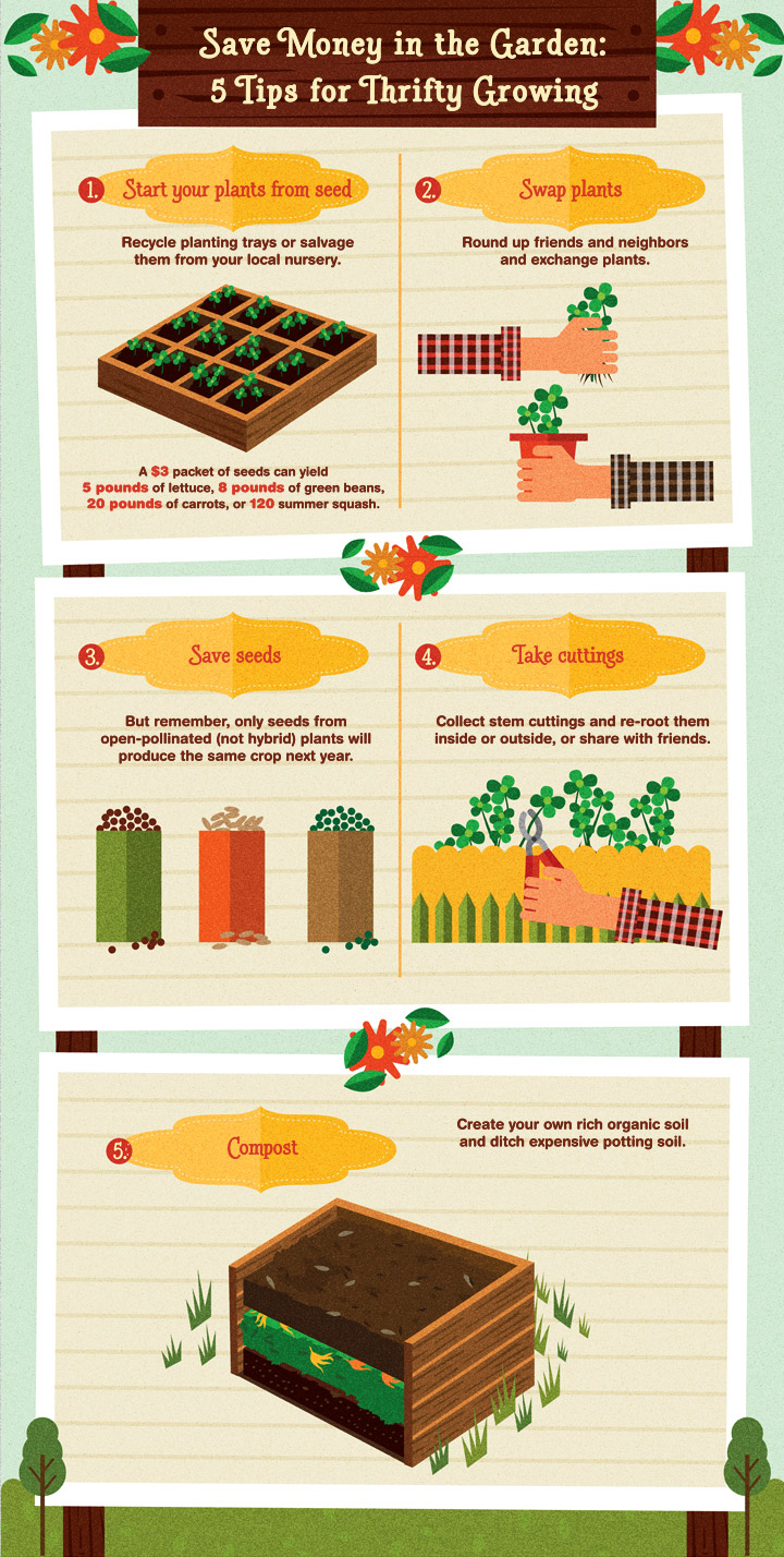 Save Money in the Garden: 5 Tips for Thrifty Growing