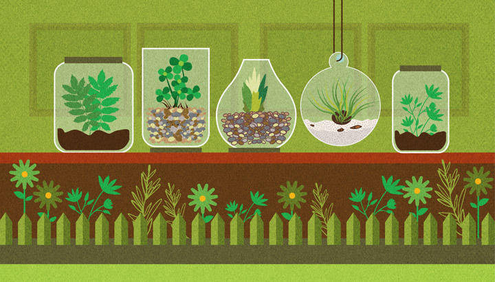 How to Build Your Own Terrarium: A Black Thumb Guide to Life in a Bottle 