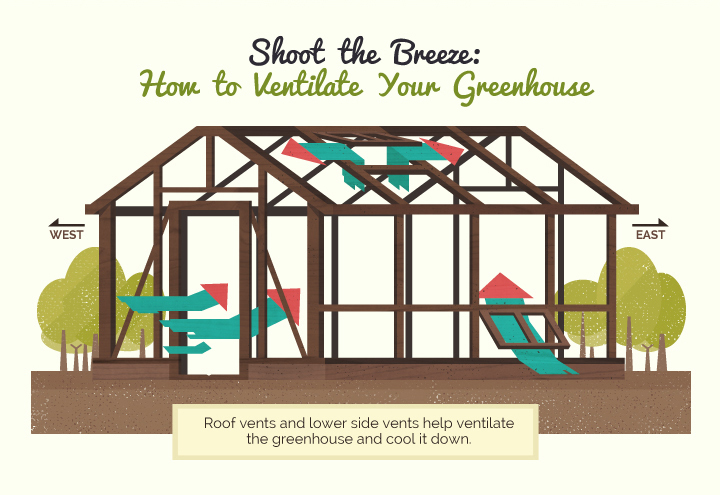 Shoot the Breeze: How to Ventilate Your Greenhouse