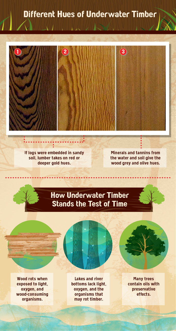 Different Hues of Underwater Timber