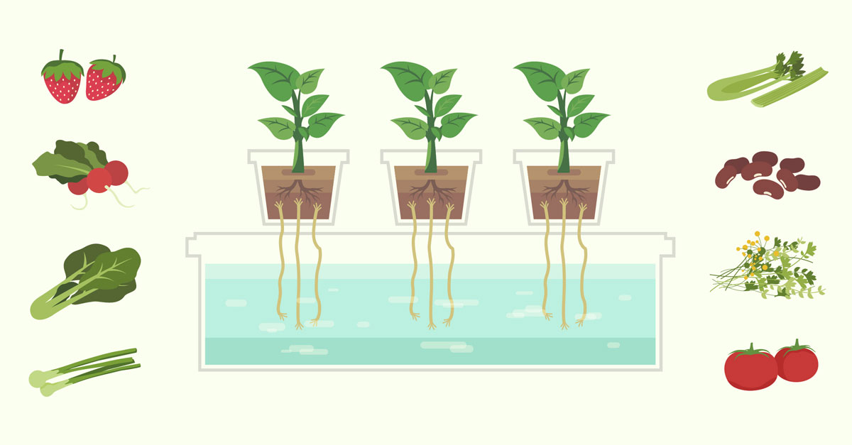 II. The Benefits of Hydroponics: Advantages for Farmers and Consumers