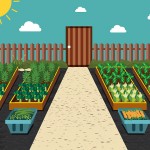 Raise the Roof: How to Plant a Rooftop Garden