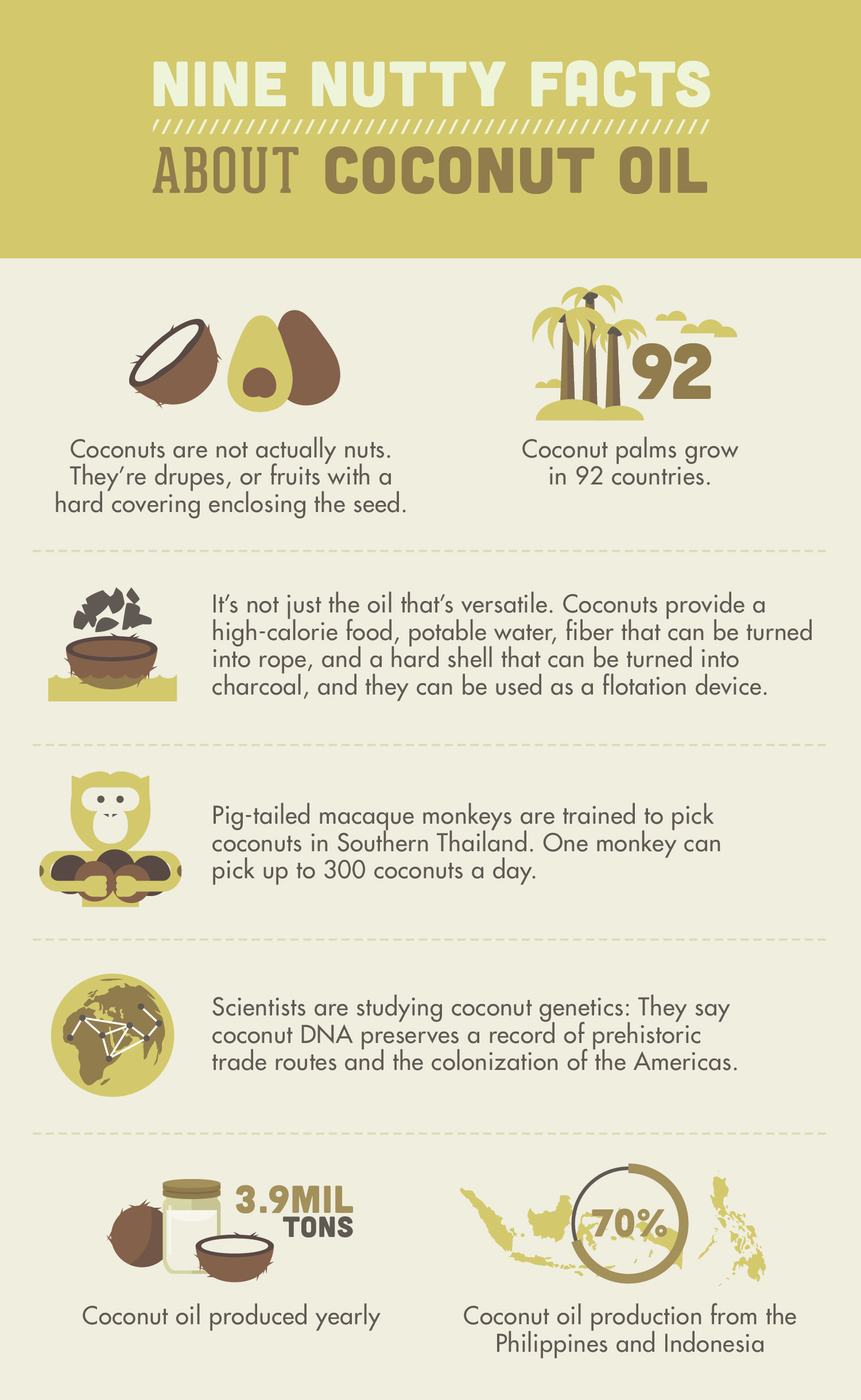 Nine Nutty Facts About Coconut Oil