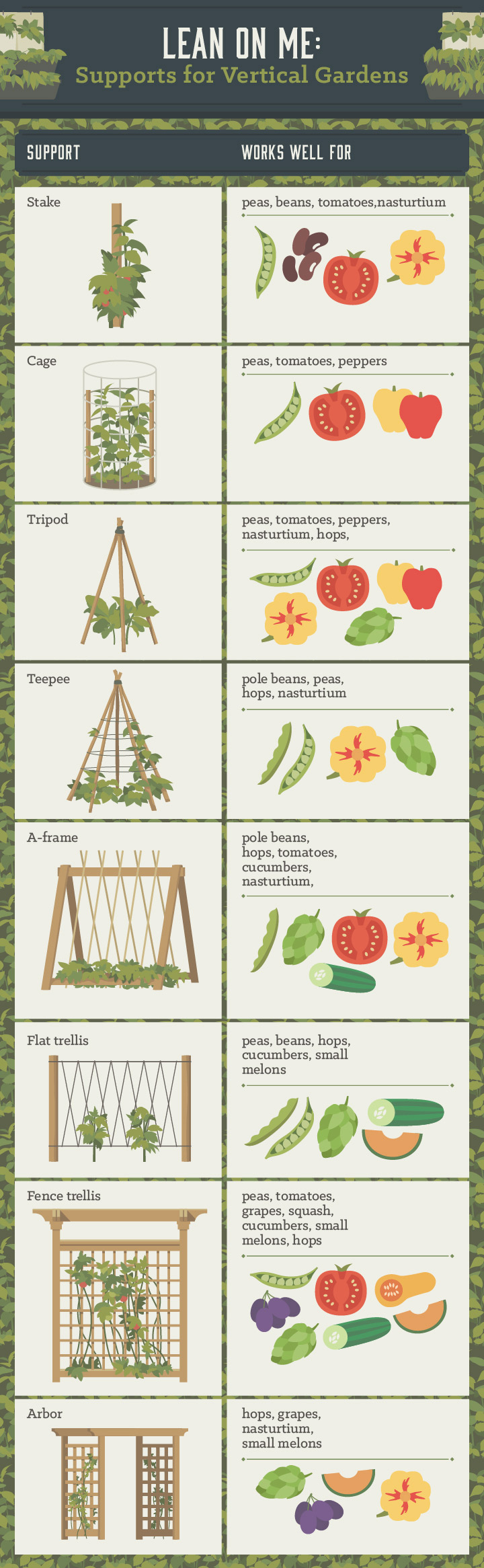 vertical vegetable garden - infographic